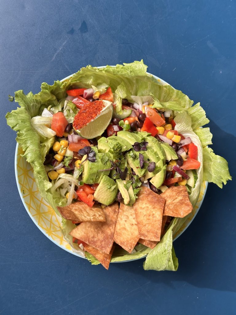 Mexican Corn Salad (VG)